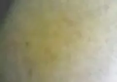 کون گشاد,آنال فیلمسوپر قشنگ