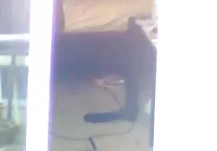 ૦ فیلمسوپر بکن بکن جوان در ساز واقعی